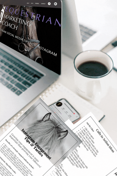 Tips to increase your Instagram engagement for Equestrians in 2022